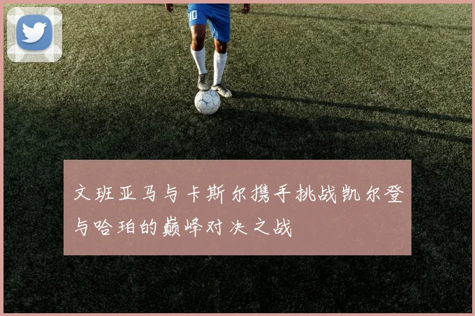文班亚马与卡斯尔携手挑战凯尔登与哈珀的巅峰对决之战